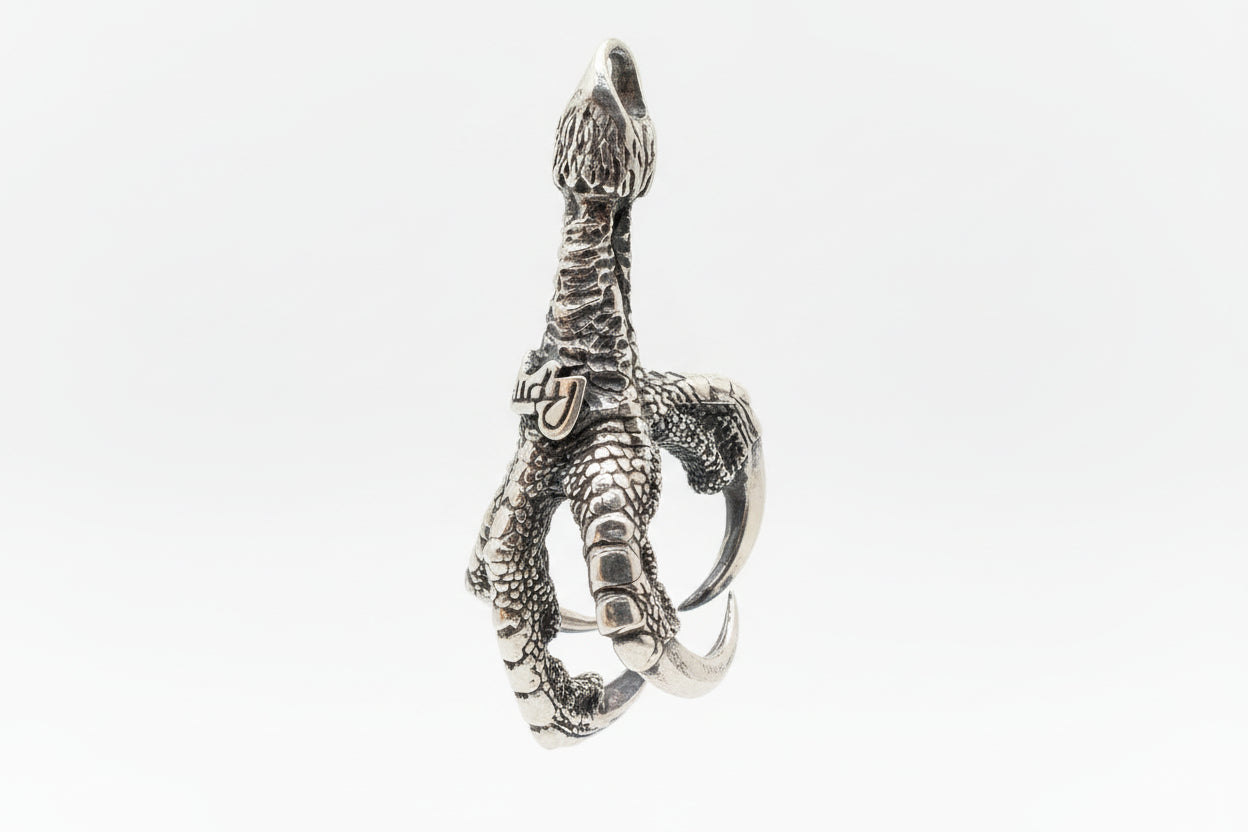 Red Tail Hawk Claw