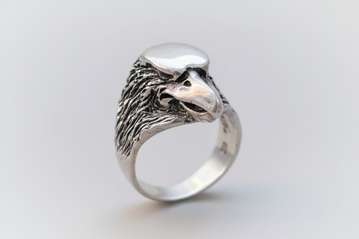 Eagle Guardian
